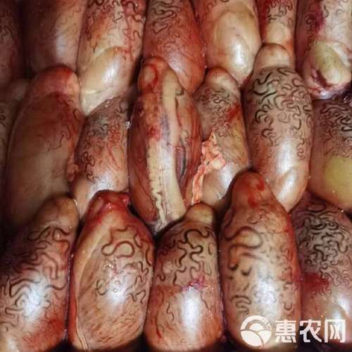 国产牛宝批发 新鲜牛副产品 禽畜肉蛋优选